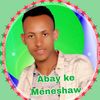abay.ke.meneshaw