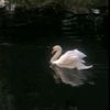 amna.alzaabi919