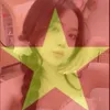 meret826