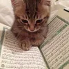 user1962343127946