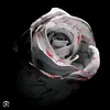 leonardo_paura8