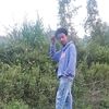 tamrat663