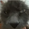 pjarotrompetero_1