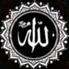 arabic2606