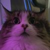 wizardbitch1213