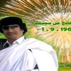 osama.a254