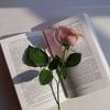 user1918166671422