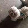eejjjejej