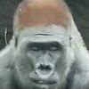 marky_warky1118