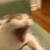 giavw32