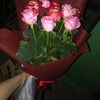 user40713204227846