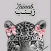 zeinabalmokdad300gmail.c