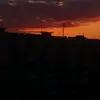 sofina717