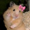 ellyn_nnnnn