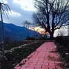 meran0701