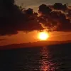 l3_341___