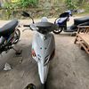asing_220