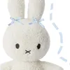 ASH_ASH