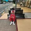 asian.mark.13