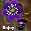 bogmilnem.024.com