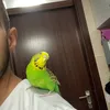kaan_adana01