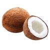 coconut9169