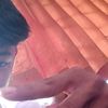 ehanstecu