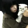 songbanchicovay0