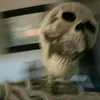 yopenn_