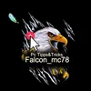 falcon.mc78