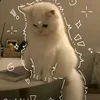 gautrang_07