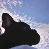 riki.noa