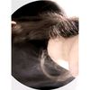 alonegirl2447