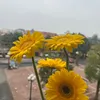 hng44948