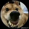 huuduong.123