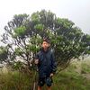 ahmadhaidralfaiz2