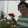 irani.gessele.for