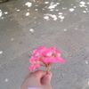 fatima.alikhani