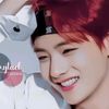 army1235998