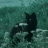 rz_az3
