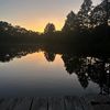 adleigh_1122