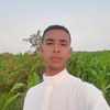 mohamed.ashree4