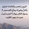 محمدد