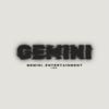 gemini_entertaiment4