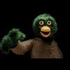 duckdhmiswife