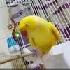 awsnb7