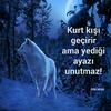 murat.demir4874