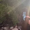 meli.ka23