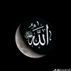 user2386167198188