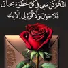 user83381529573307